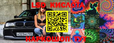 хмурый Кингисепп