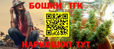 хмурый Кингисепп