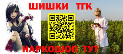 хмурый Кингисепп