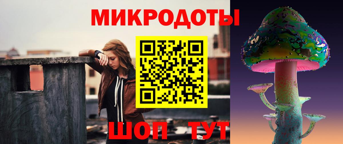 Кунгур  Псилоцибиновые грибы Cubensis  Вход с VPN 