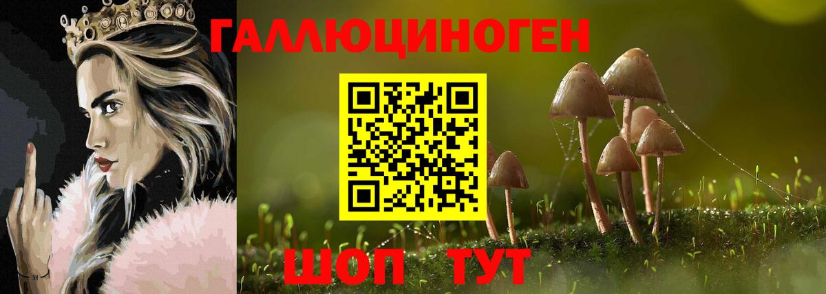 Галлюциногенные грибы мицелий Кунгур